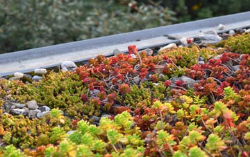 the cost of Kirby Sigston green roof installation