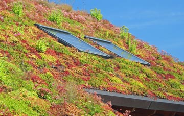 Kirby Sigston living roof systems