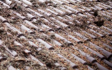 Kirby Sigston roof cleaning companies